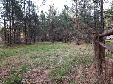 4201 New Hope Rd, Grants Pass, OR 97527 - photo 5