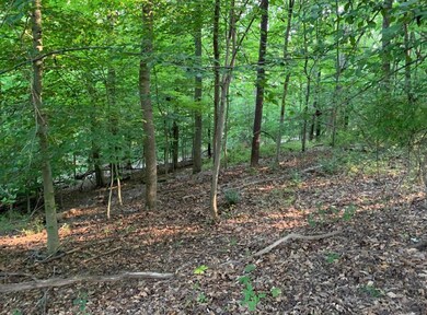 0 Montezuma Ln SE unit 222009038, Bremen, OH 43107 - photo 4