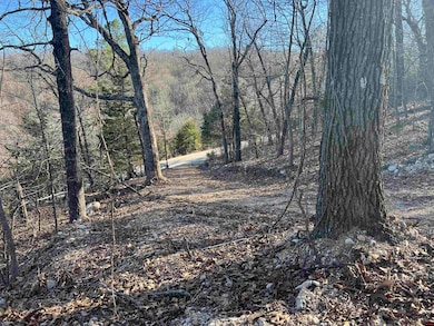 0 Mc 8060 unit 132985, Yellville, AR 72687 - photo 5