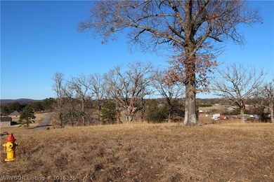314 & 318 Stone Mountain Loop, Alma, AR 72921 - photo 3