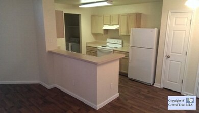 870 Sagewood Trail unit 872, San Marcos, TX 78666 - photo 5