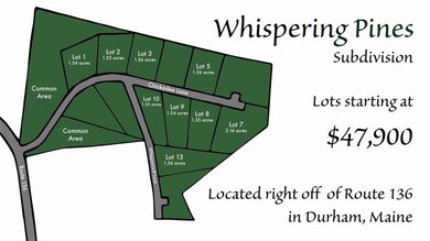 46 Chickadee Ln, Durham, ME 04222 - photo 4