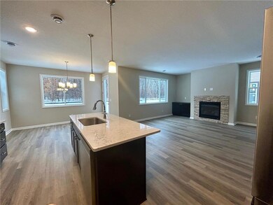 16058 162nd St N, Hugo, MN 55038 - photo 4