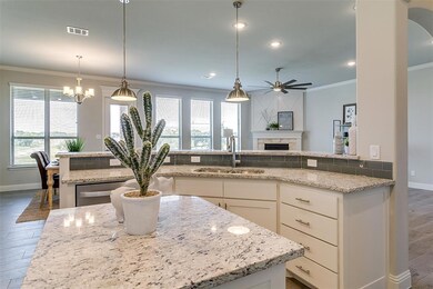 625 Old Agnes Rd, Weatherford, TX 76088 - photo 5