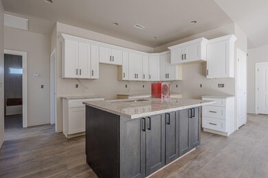 Granite countertops and undercabinet lighting!