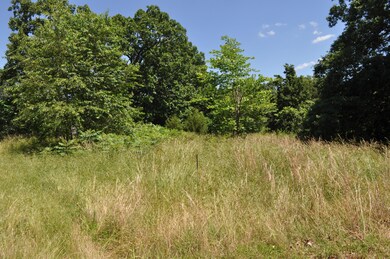 Tbd Farm Road 2085, Jenkins, MO 65605 - photo 4