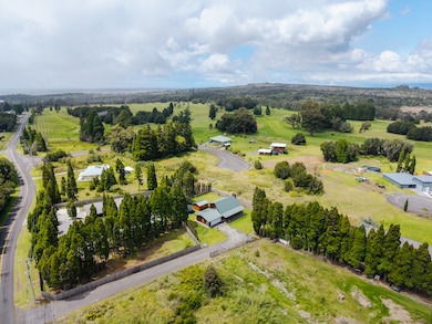 99-1610 Piimauna Dr, Mountain View, HI 96771 - photo 3