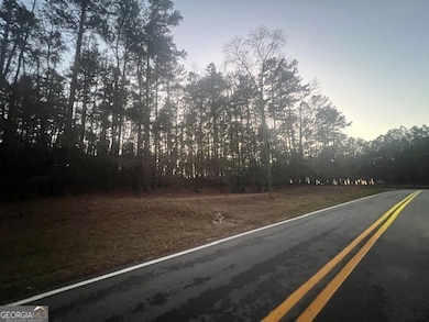 0 S Rock Island Dr unit 10655917, Eatonton, GA 31024 - photo 2