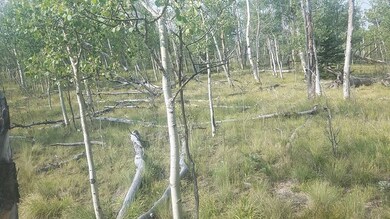 304 Old Squaw Rd, Como, CO 80432 - photo 7