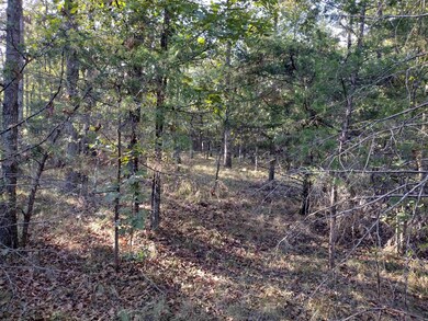 0 Arrowhead Rd, Mountain View, AR 72560 - photo 3