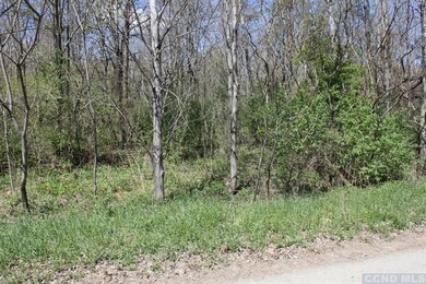 0 Roche Ln, Ancram, NY 12503 - photo 4