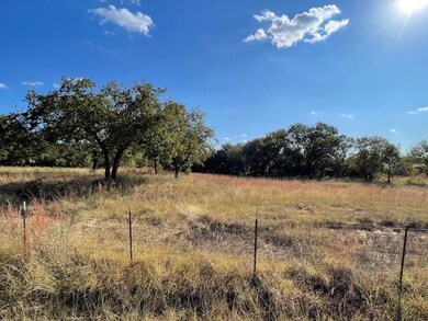 1150 Dps Tower Road #Lot 22, Perrin, TX 76486 - photo 5