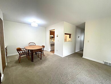 3001 Fernwood Ave unit 202, Ann Arbor, MI 48108 - photo 4