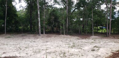 8745 Celia Rd, Tallahassee, FL 32305 - photo 4