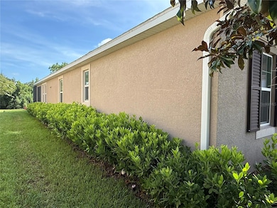 33193 Shadow Branch Ln, Wesley Chapel, FL 33545 - photo 3