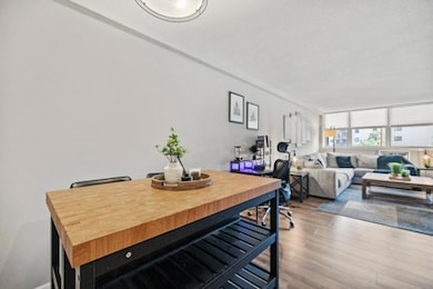 Condos at Lake Calhoun unit 101, Minneapolis, MN 55416 - photo 6