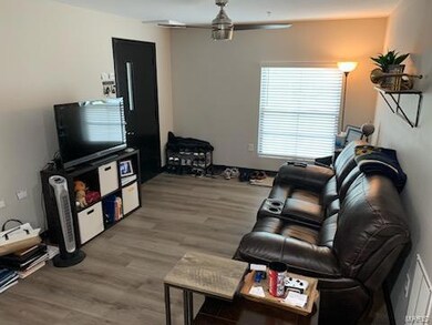 Living Room is Open to the Kitchen Area
