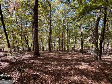 0 Forked Leaf Rd unit 29 10594626, Cleveland, GA 30528 - photo 5