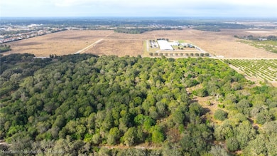 860 Memorial Dr, Avon Park, FL 33825 - photo 4