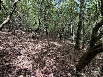 TBD Tellico Trail unit 42/22, Brevard, NC 28712 - photo 3