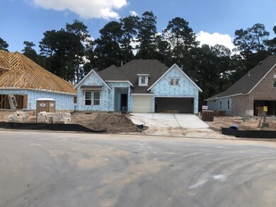 2855 Kingly Pine Trail, Conroe, TX 77385 - photo 2