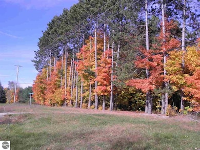 Parcel F3A Jackson Creek Rd, Kingsley, MI 49649 - photo 4