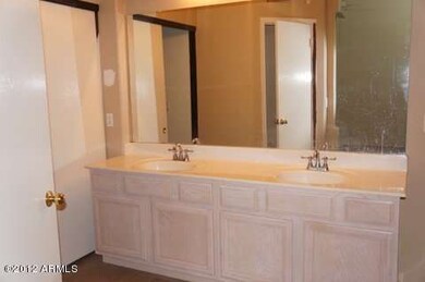 Master Bathroom Vanity Sink