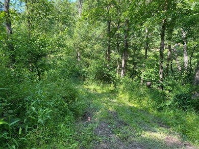 0 Township Rd 539 unit 221021120, Loudonville, OH 44842 - photo 3