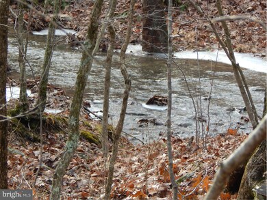 0 Circling Hawk Ln unit 1000168039, Berkeley Springs, WV 25411 - photo 6