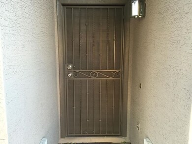 Security Screen Door