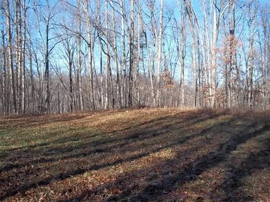 360 Pumpkin Hollow Rd, Somerset, KY 42501 - photo 3