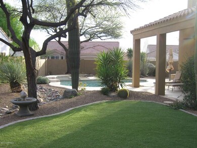 Backyard 1