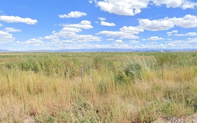 Blanca, Lasauses, CO 81151 - photo 6