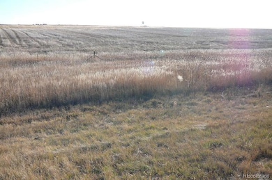 0 Manila Rd unit REC6876164, Bennett, CO 80102 - photo 7