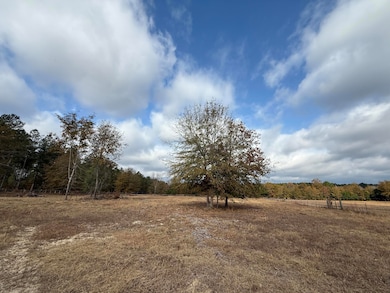 0000 S Carolina 39, Williston, SC 29853 - photo 3
