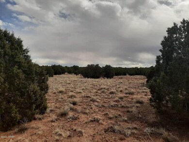 Land has trees and open areas