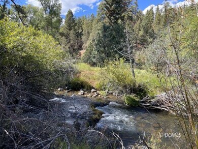 Mammoth Creek on property