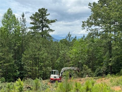 384 Cliffs Pkwy S, Salem, SC 29676 - photo 6