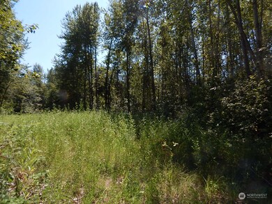 1135 E Axton Rd, Bellingham, WA 98226 - photo 5