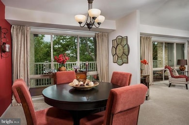 2 Overridge Ct unit 3721, Baltimore, MD 21210 - photo 7