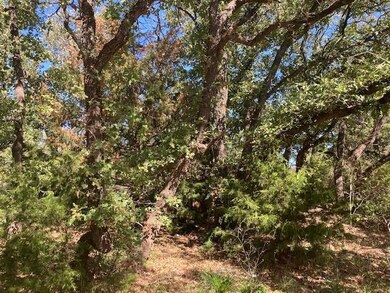 1900 Ridgewood Dr, Joshua, TX 76058 - photo 4