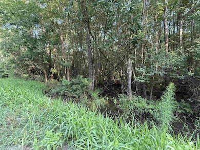 TBD Wolf Pit Bay Rd, Nichols, SC 29581 - photo 3