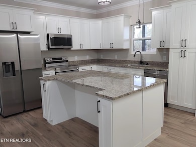 194 W West Park Cir, Decatur, TN 37322 - photo 7