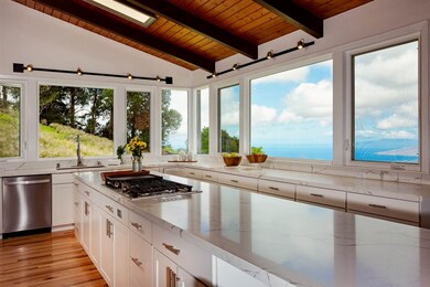 17085 Haleakala Hwy, Kula, HI 96790 - photo 4