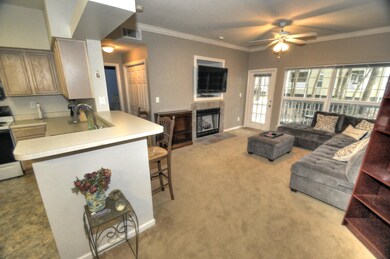 Kitchen & Living Room