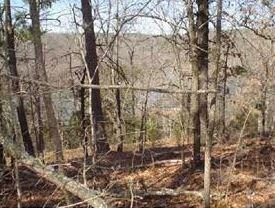 0 Menke Lanke Dr unit 1012498, Rogers, AR 72756 - photo 4