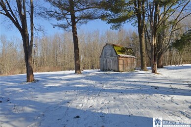 Barn/shed