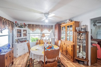 101 Lakeview Dr, Leesburg, FL 34788 - photo 6