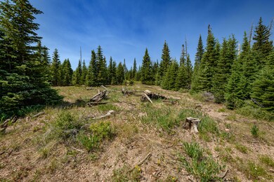 0 Lot 29 Aspen Mdws Se Neighbor unit 112451, Brian Head, UT 84719 - photo 5