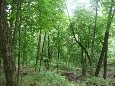 4950 Beck Rd, Emmaus, PA 18049 - photo 2